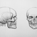 Studies of the skull, copies from Giovanni Civardi's drawings thumbnail