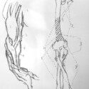 Arm anatomy from Bridgman thumbnail