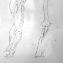 Studies from Bridgmans's anatomy drawings thumbnail