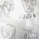Anatomy of the head - Studies from Andrew Loomis thumbnail