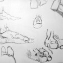 Copies of Bridgman's studies of feet thumbnail