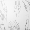 Anatomy of the knee based on Bridgman's drawings thumbnail