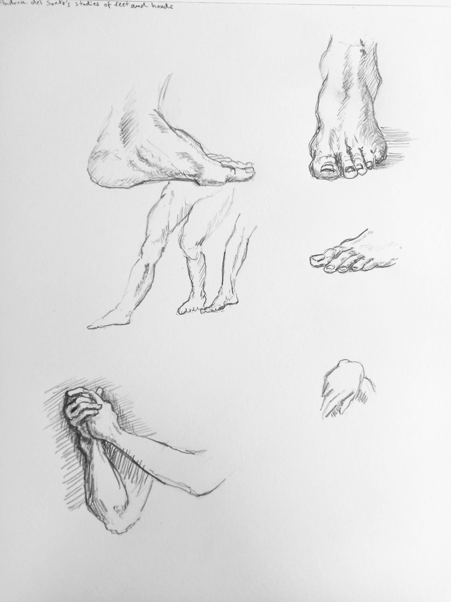 Copies of del Sarto's studies of feet and hands