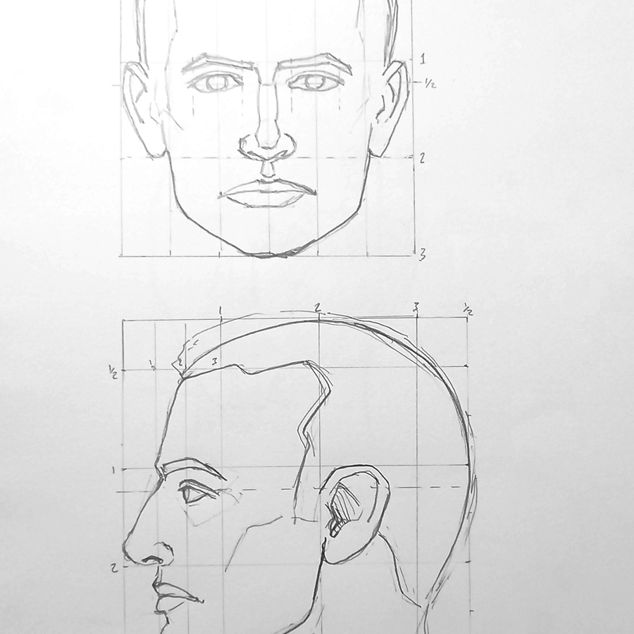 Dimensions of the head
