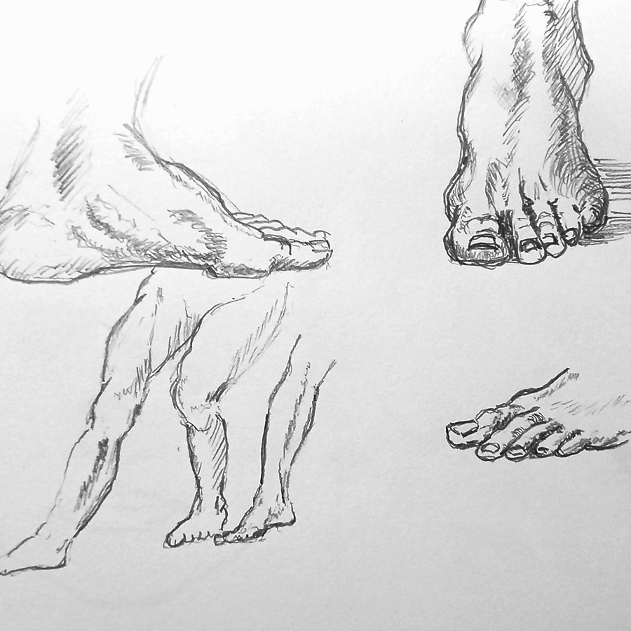 Copies of Andrea del Sarto's studies of feet and hands