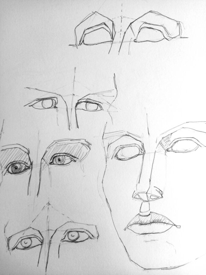 Studies of eyes based on Bridgman's drawings