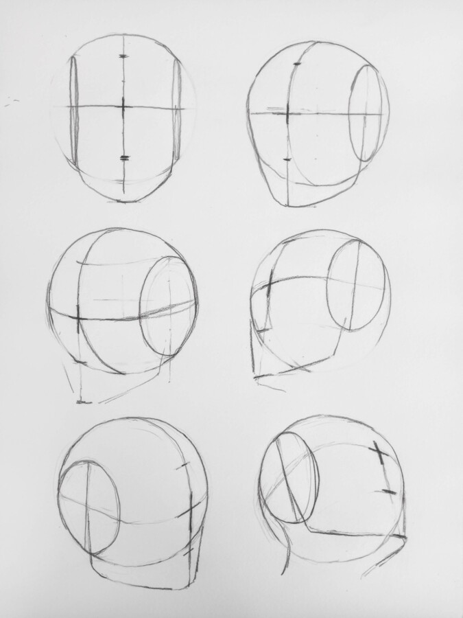 Simple Loomis structural heads in various views